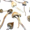 Buy Liberty Caps