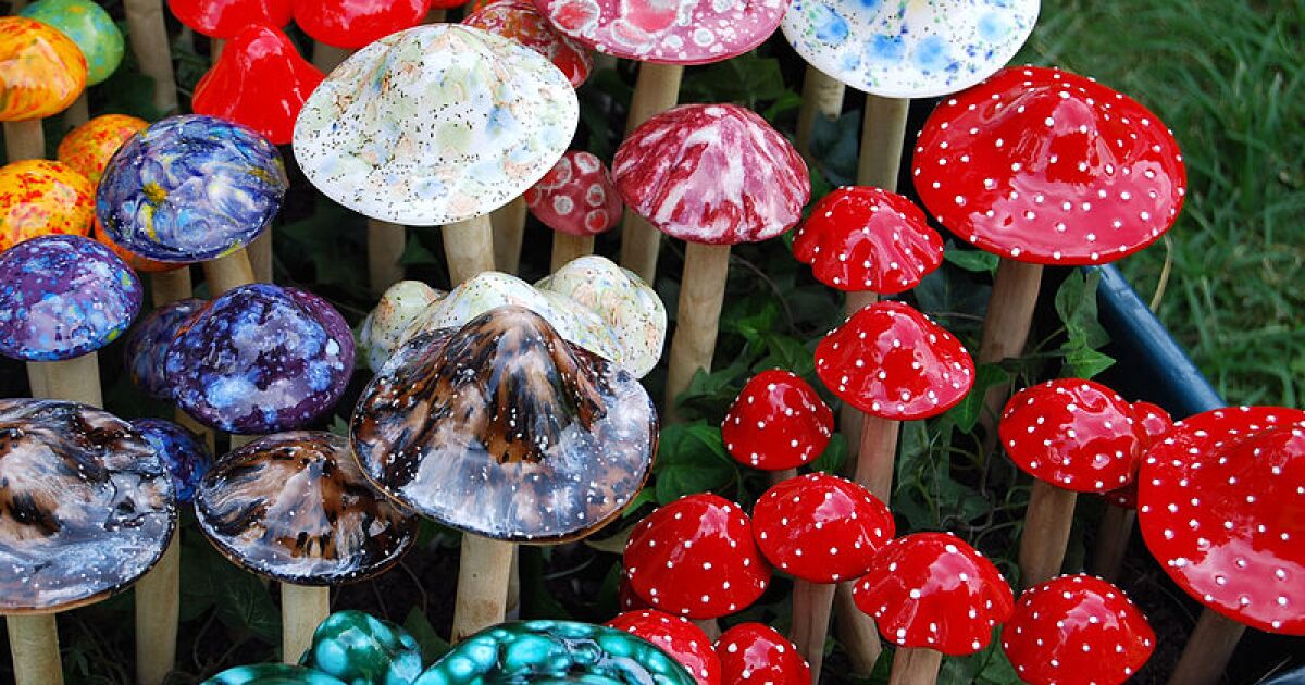 Buy magic mushrooms online